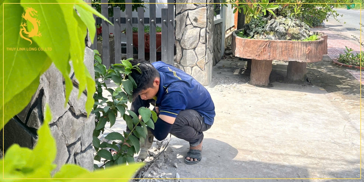 dich vu nang cap thiet bi cong tu dong