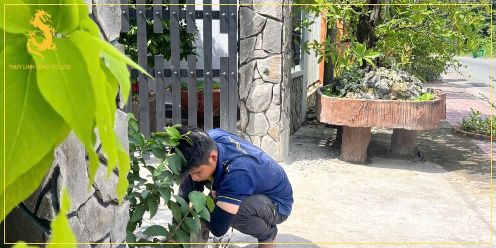 cung cap lap dat cong mo tu dong nghe an