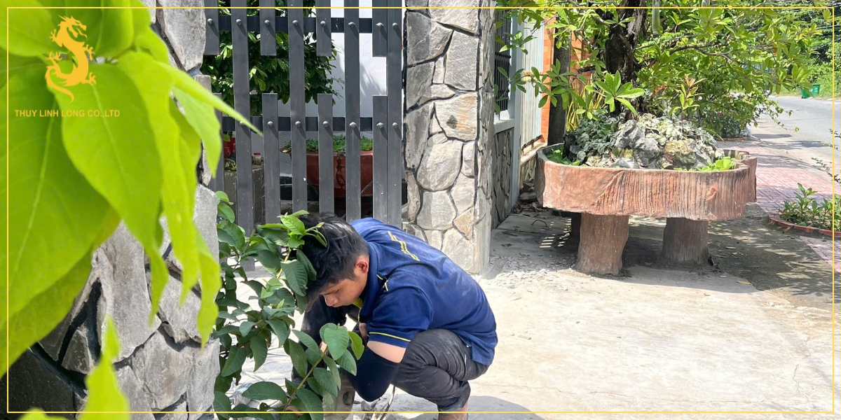 thuy linh long don vi tien phong trong linh vuc cong mo tu dong thanh hoa Thủy Linh Long - Đơn vị tiên phong trong lĩnh vực cổng mở tự động Thanh Hoá